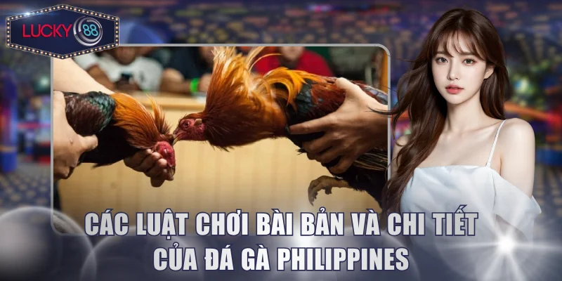 Các luật chơi bài bản và chi tiết của đá gà Philippines