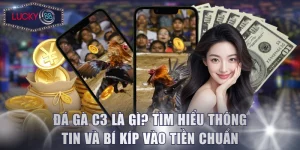 Đá Gà C3 Là Gì? Tìm Hiểu Thông Tin Và Bí Kíp Vào Tiền Chuẩn