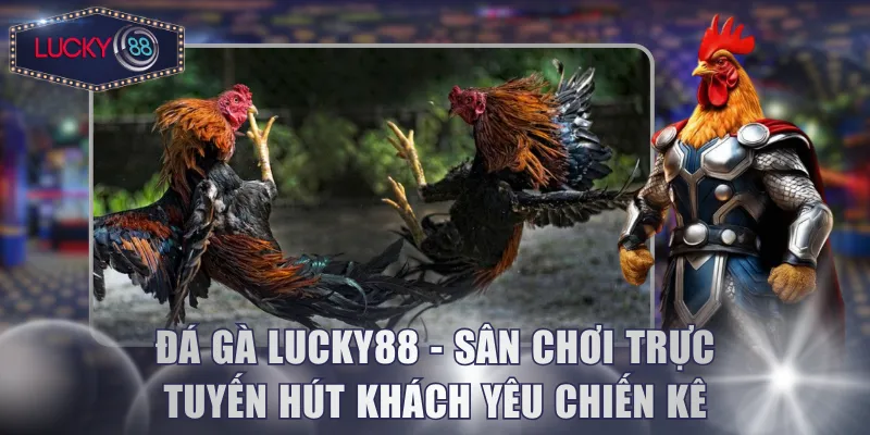 Đá Gà Lucky88 - Sân Chơi Trực Tuyến Hút Khách Yêu Chiến Kê