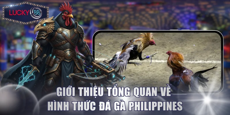 Giới thiệu tổng quan về hình thức đá gà Philippines