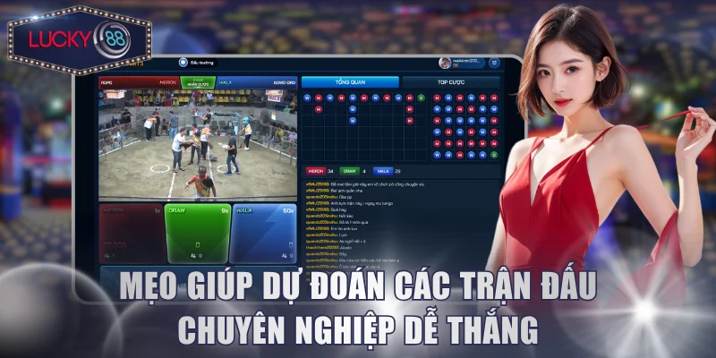Mẹo giúp dự đoán các trận đấu chuyên nghiệp dễ thắng