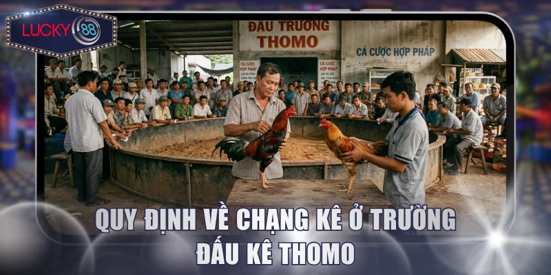 Quy định về chạng kê ở trường đấu kê Thomo