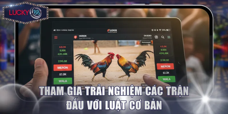 Tham gia trải nghiệm các trận đấu với luật cơ bản
